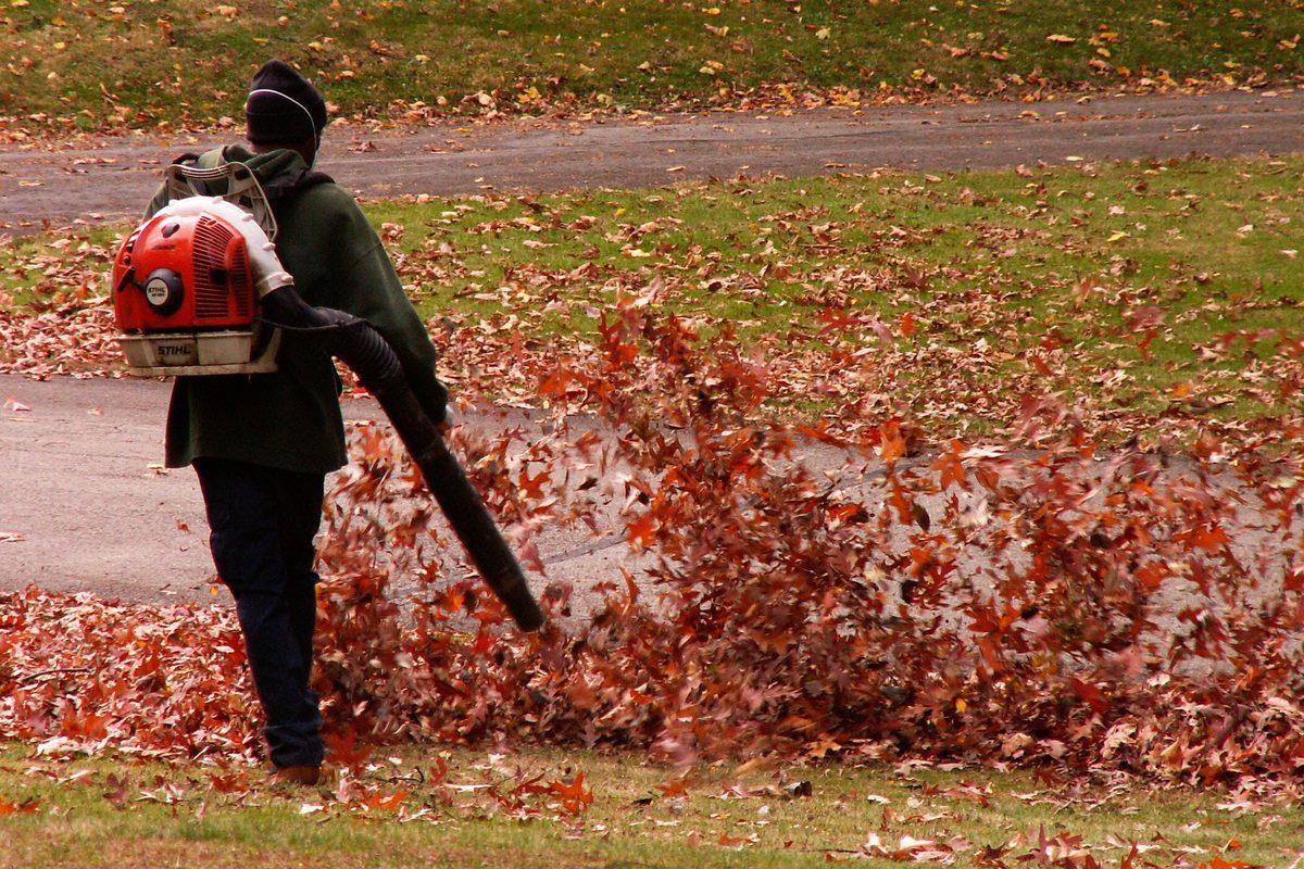 Worker with a backpack blower clearing fallen leaves off a lawn