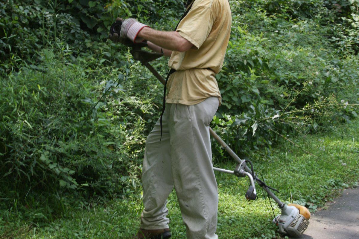 Worker with a string trimmer cutting grass back along a paved path